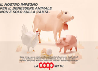 Coop “Alleviamo la salute”: in vendita pollo e uova senza antibiotici