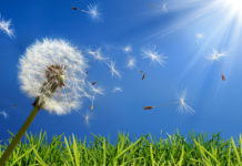 Nuove e vecchie armi per combattere le allergie ALLERGIE