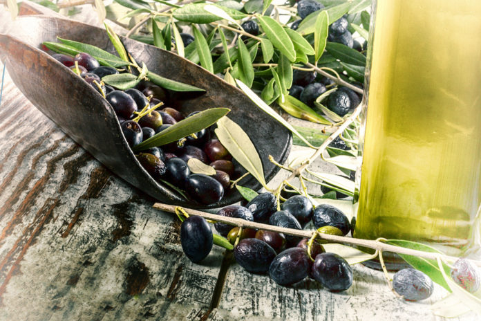 Olive