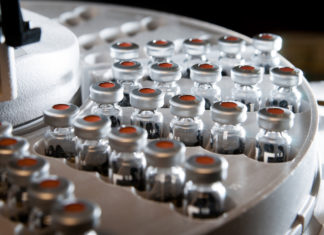 Vaccini e epilessia, il ministero non fa ricorso in Cassazione e paga il risarcimento