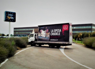 Animalisti contro Eurospin: stop alla vendita di uova da galline in gabbia