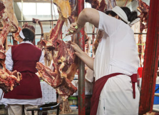 Animali vecchi e dopati, lo scandalo della carne di cavallo