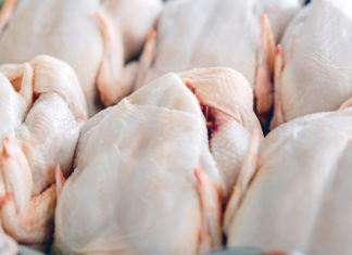 Carrefour traccia tutta la filiera del pollo: si parte il 29 settembre