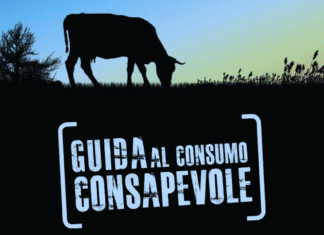 Carne, 8 italiani su 10 disposti a pagare di più per il benessere animale. 5 consigli per gli acquisti