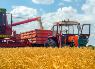 Guerra del grano, Colomba Mongiello chiede più controlli sull’import PASTA GLIFOSATO