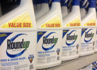 Glifosato, Corte Suprema coinvolge Biden nella richiesta di Bayer di stoppare le cause di risarcimento GLIFOSATO BIDEN