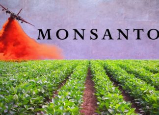 Maxi multa a Monsanto: ha conservato illegalmente i dati personali di 200 giornalisti e scienziati