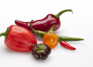 Più peperoncino, meno sale: la ricerca statunitense che esalta il piccante