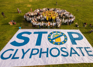 Glifosato, Tribunale Ue: “No alle autorizzazioni automatiche” glifosato