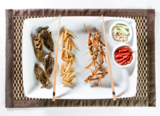 Farina di grilli nella pasta o “aperinsetti”, ora si può anche in Europa