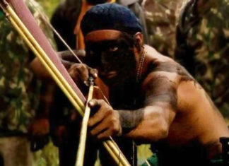 I morti della guerra del legno illegale in Amazzonia e la nostra distrazione