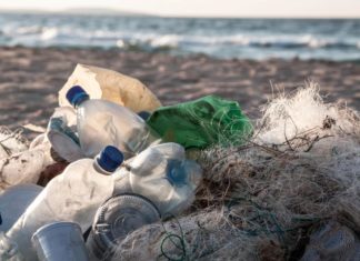Dalla plastica usata all’aroma di vaniglia, grazie a un batterio Ogm RICICLO PLASTICA