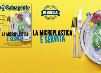 La microplastica è servita: la ricerca del Salvagente sui soft drink