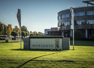 Usa, Bayern-Monsanto a processo per aver contaminato una scuola con Pcb