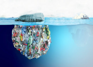 Plastica, il nuovo rapporto che racconta gli effetti sulla salute MICROPLASTICHE