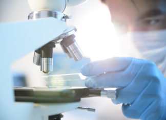 Microplastiche e bisfenolo trovate dentro polmoni, fegato, milza e reni umani