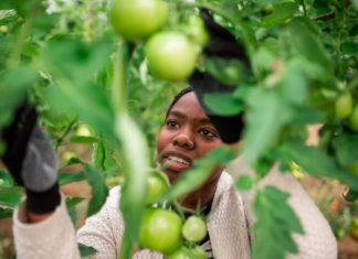 Un giusto prezzo per cibo di qualità. La filiera agroalimentare si confronta