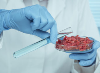 CARNE SINTETICA