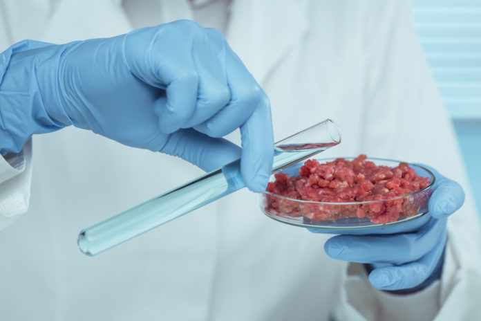 carne sintetica laboratorio CARNE SINTETICA