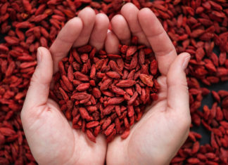 Il vero e il falso potere delle bacche di goji