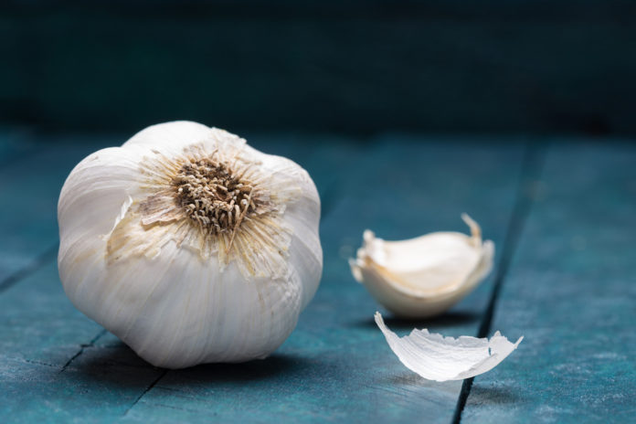 aglio miti alimentari aglio