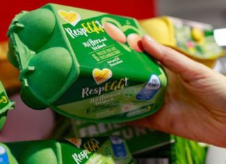 Ecco le uova “cruelty free” prodotte senza uccidere i pulcini maschi