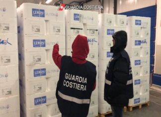 Maxi-sequestro di salmone destinato al sushi all you can eat nel Nord Italia