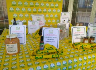 Agromafie, reati aumentati del 12% in un anno. L’appello: “Approvare la legge ferma in parlamento”