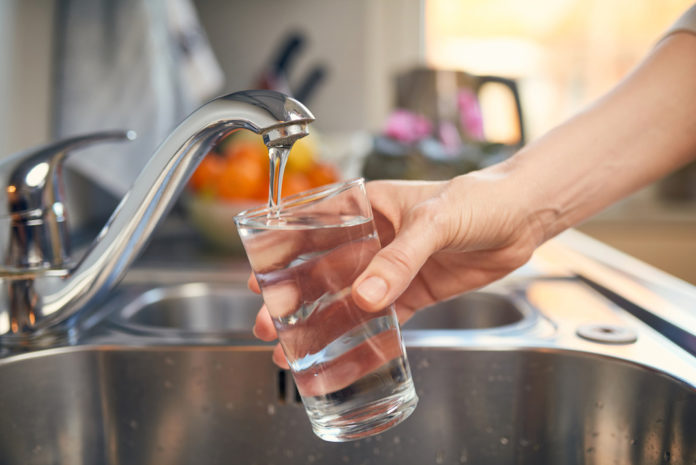 acqua pura depuratori INTERFERENTI ENDOCRINI