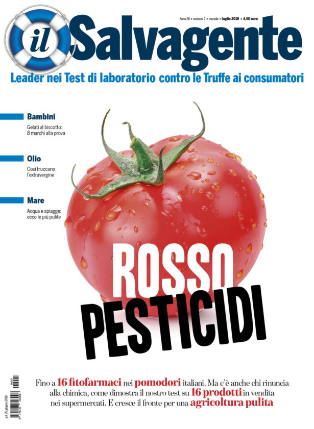 Rivista 2019
