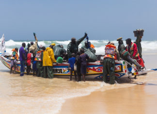 Così le farine di pesce per la nostra acquacoltura depredano l’Africa