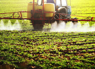 Clorpirifos, Epa annuncia il divieto in Usa del pesticida collegato a danni neurologici nei bambini pesticidi coldiretti