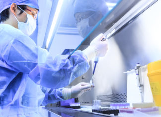 Glifosato: “Intervenga il ministro sul licenziamento dello scienziato” GLIFOSATO RAMAZZINI