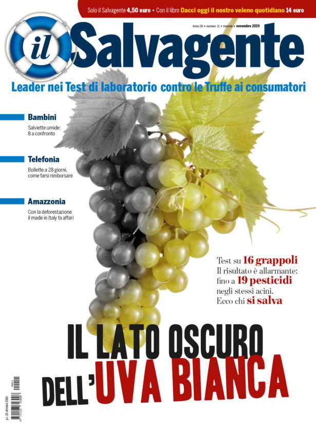 Il Salvagente 11/2019 (PDF)