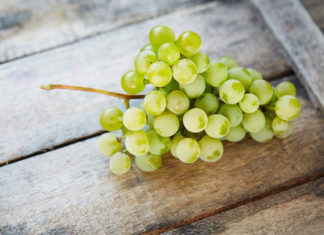 Nell’uva italiana spunta l’acetamiprid, il pesticida nemico delle api premiato da noi e bocciato in Europa UVA PESTICIDI