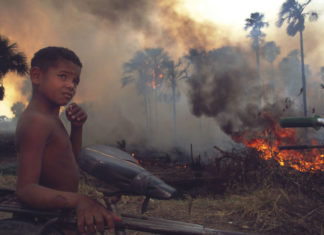 Trattato Mercosur, stop alla ratifica da Ue: “Non garantisce la tutela di Amazzonia e biodiversità” DEFORESTAZIONE IN AMAZZONIA
