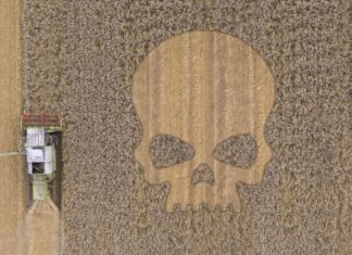 Brasile, sospesa l’autorizzazione di 63 pesticidi tossici