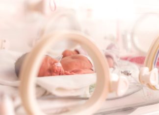 Lo studio: gli interferenti endocrini minacciano i neonati in terapia intensiva