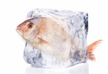 10 surgelati di pesce alla prova, la qualità si vede