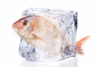 10 surgelati di pesce alla prova, la qualità si vede