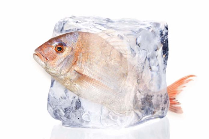 pesce surgelato test