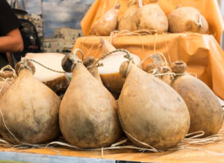 Basilicata, l’azienda agricola sorge vicino al cementificio e il formaggio è “ricco” di piombo