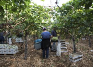 Trasparenza e diritti dei lavoratori, le pagelle di Oxfam: Coop promossa