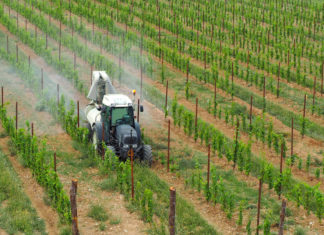 Campagna Cambia la terra: “Rivedere direttiva Ue pesticidi e incentivare il bio” pesticidi