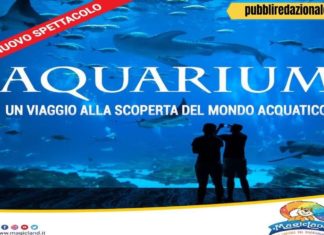 Aquarium, il nuovo, avveniristico, spettacolo serale a MagicLand