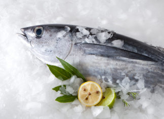 Le virtù dell’abbattitore: alleato del sushi e nemico dei batteri
