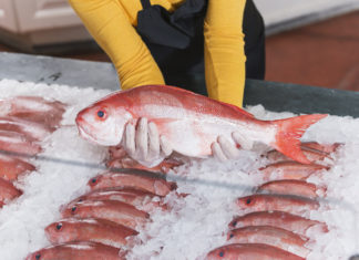 Covid nel pesce surgelato, la Cina blocca importazione dal Brasile