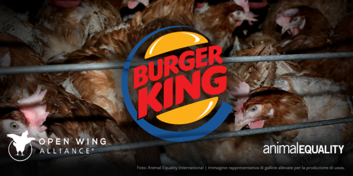 OWA-rbi-burger-king-social-no-text-twitter_IT burger king