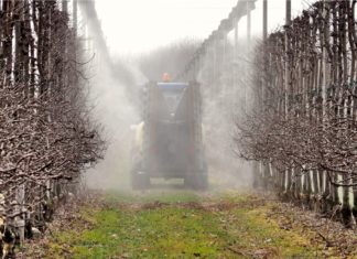 Ceci al glifosato, l’alternativa c’è ed è italiana