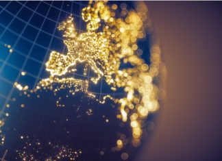 Lo studio: l’inquinamento da luce artificiale crea enormi danni all’ecosistema